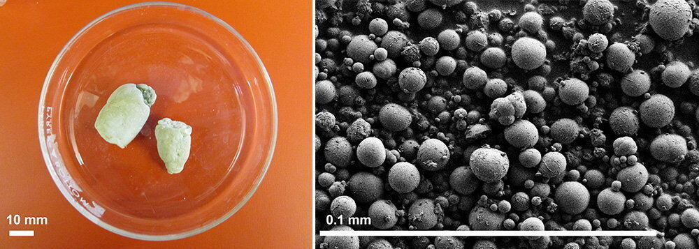 Crystals “peed” by snakes could hold key to treating human kidney stones and gout